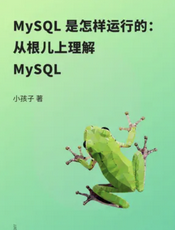 MySQL 是怎样运行的：从根儿上理解 MySQL