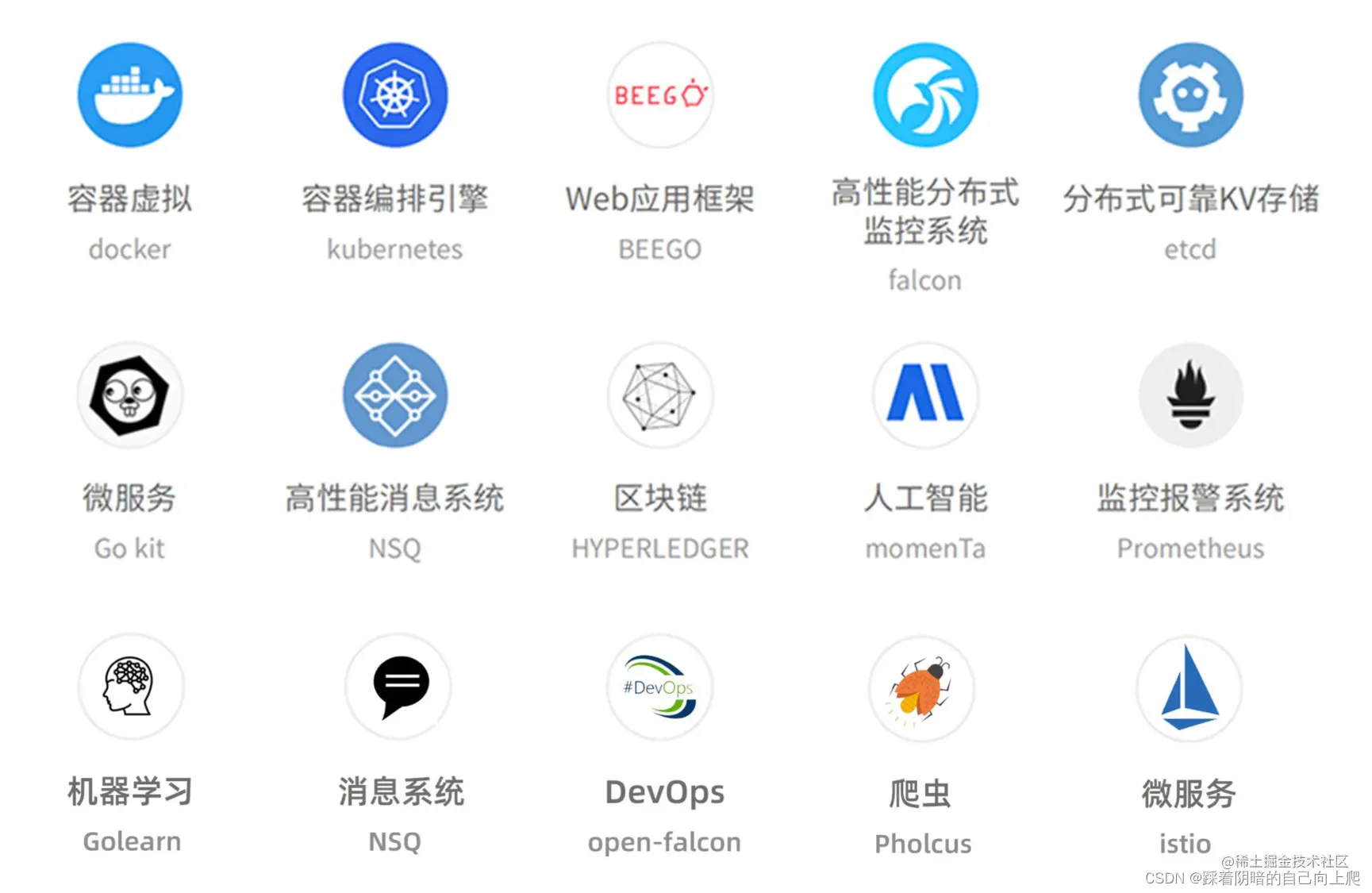 1.开篇词:如何精进 Go 开发能力? - 图7